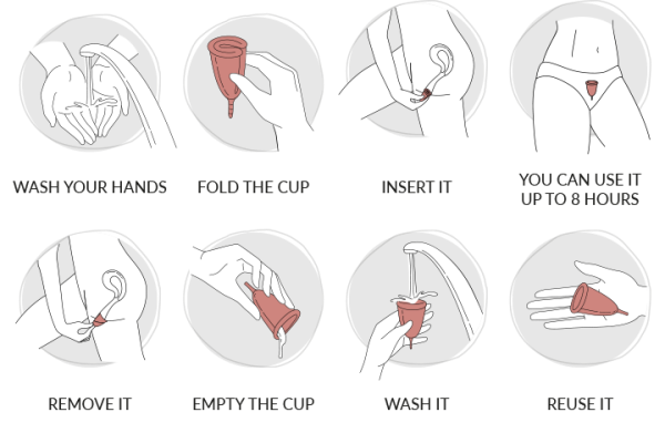 Teby Cup: 2 Grössen, 2 Härtegrade